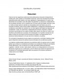 Constitución y Economía