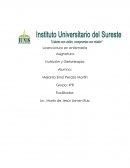 Casos Clinicos. Nutrición y Dietoterapia