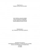 PRACTICA N° 4: “DINAMO AUTOEXCITADA EN SERIE”