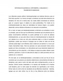 Ensayo sobre INTERDISCIPLINARIEDAD, ENFERMERÍA, COMUNIDAD Y TRANSDISCIPLINARIEDAD