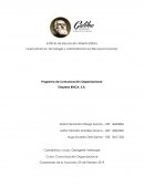 Programa de Comunicación Organizacional Empresa BRICA, S.A.