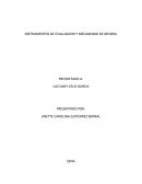 INSTRUMENTOS DE EVALUACION Y MECANISMO DE MEJORA