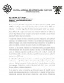 ESTRUCTURA Y ORGANIZACIÓN SOCIAL. A-211