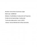 Factibilidad y Evaluación de Proyectos Evidencia de Aprendizaje: Analizando