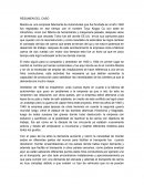 RESUMEN DEL CASO Mazda