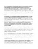 Gerencia de los Negocios