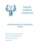 OPTIMIZACION DE LA CADENA DE VALOR