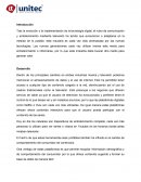 SUCUMBIRÁ LA TV ANTE EL INTERNET