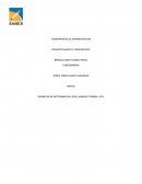 Concepto basico y Comparativo