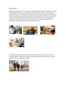 TEORIA DE LA COMNICACION