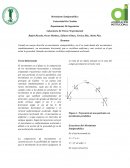 Laboratorio De Física I Experimental