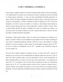 CASO: CAMISERIA LA ESTRELLA