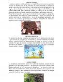 ﻿Abono solido, abono liquido, abono verde