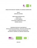 TRABAJO DE EXPLORACION Y DESARROLLO DEL MERCADO AGROPECUARIO