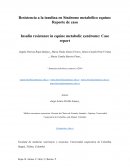 El síndrome metabólico equino (SME)