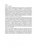 Ensayo planeación tributaria