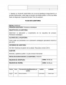 Modelo Plan de Auditoria