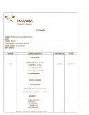 EJEMPLO DE COTIZACIÓN