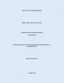 PROYECTO A REPRESENTANTE