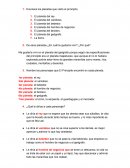 El principito. Enumera los planetas que visito el principito