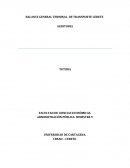 BALANCE GENERAL TERMINAL DE TRANSPORTE CERETE AUDITORIA