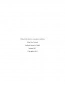 Calidad de la industria y conceptos de auditoria