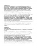 Mercadeo Sullivan Ford Auto World