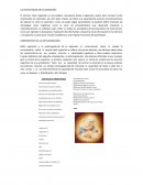 LAS ESTRATEGIAS META COGNICIÓN