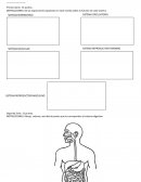 FORMATO EXAMENES BIMESTRALES