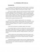 LA INMIGRACIÓN EN LATINOAMERICA