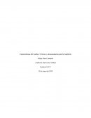 Características del Auditor, Criterios y documentación para la Auditoría