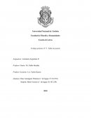 Poesia argentina siglo xx