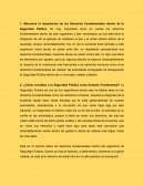 Derechos Fundamentales dentro de la Seguridad Pública