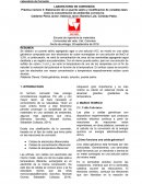 Elaboración de un puente salino