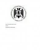 DESARROLLO EMPRESARIAL ¿Por qué un inversionista debería invertir en tu proyecto?