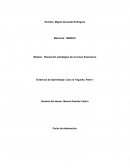 Caso la Trigueña. Parte 1