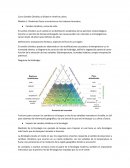 Cambio Climático y Global en América Latina