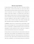 Diferentes etapas históricas