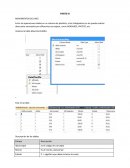 Diagramas de forrester politica