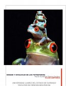 Origen y evolución de los tetrapodos