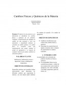 Cambios Físicos y Químicos de la Materia Experimento Química