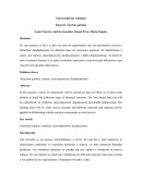 Tipos de reacción química