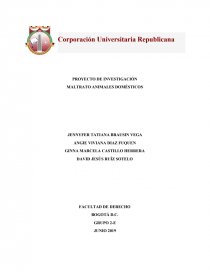PROYECTO DE INVESTIGACIÓN MALTRATO ANIMALES DOMÉSTICOS. Página 1