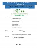 FORMULACIÓN Y EVALUACIÓN DE PROYECTOS DE INVERSIÓN