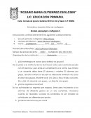 Entrevista a docente titular de multigrado