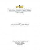 La Auditoria de Sistemas