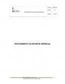 PROCEDIMIENTO DE REVISIÓN GERENCIAL