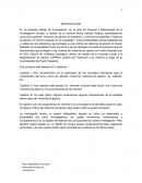 INFORME VIOLENCIA DE GENERO