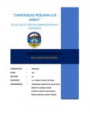 Multiservicios Rivera