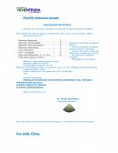 Plantilla embarazo grande EXPLORACIÓN OBSTÉTRICA